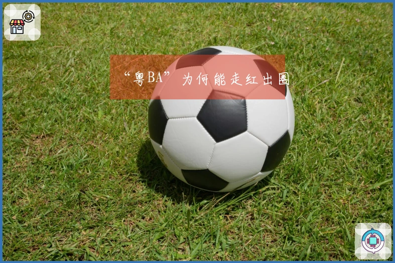 “粤BA”为何能走红出圈