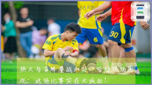 热火与黄蜂鏖战加时，哈特现场围观：这场比赛实在太疯狂！