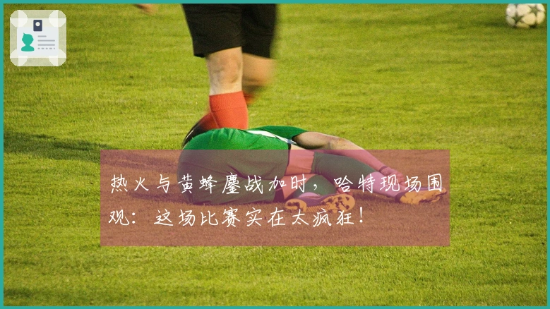 热火与黄蜂鏖战加时，哈特现场围观：这场比赛实在太疯狂！